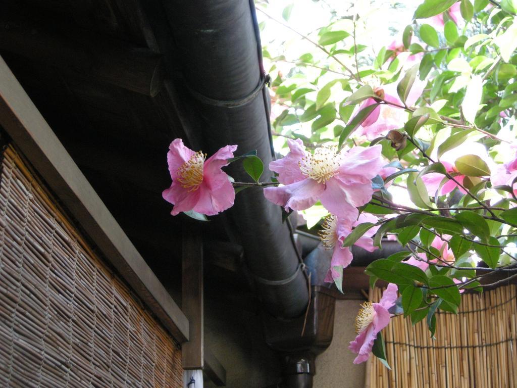 Guesthouse Itoya Kyoto Bagian luar foto